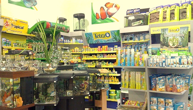 masterzoo jitomir1